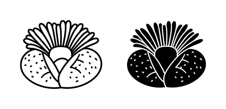 Succulent Plant Icons, Lithops Flower Vector Art, Desert Flora Graphics, Two Tone Botanical Illustrations