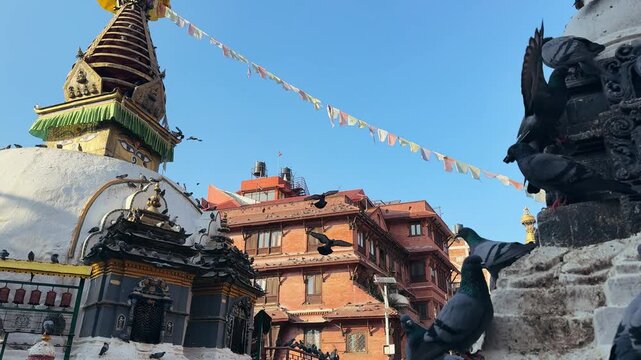 Slow motion pigeons flying and resting around a Buddhist stupa in Kathmandu, Nepal. Peaceful spiritual atmosphere, urban wildlife, travel, meditation, culture, calm background scene