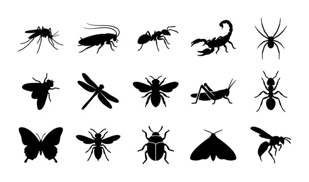 Black insect silhouettes set, 15 bug icons collection including spider and scorpion, flat vector nature elements for pest control and biology