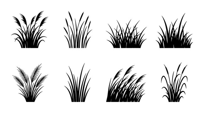 Black grass silhouette collection, 8 vector reed and cattail plant icons, wild meadow grass tufts, botanical marsh vegetation elements for landscape design
