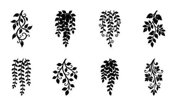 Black silhouette hanging plants vector set, 8 botanical leaf vine illustrations, decorative floral ivy and trailing foliage elements for wedding design