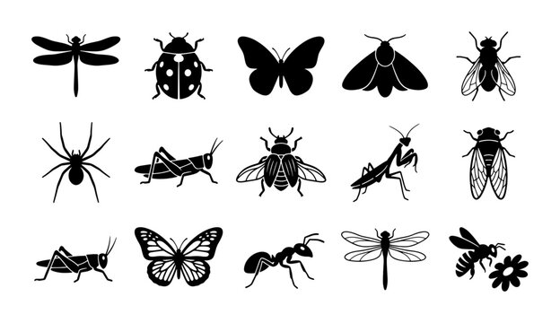 Minimalist insect silhouette icons, set of 15 black bug vector illustrations, butterfly and dragonfly nature symbols for biology education and web design