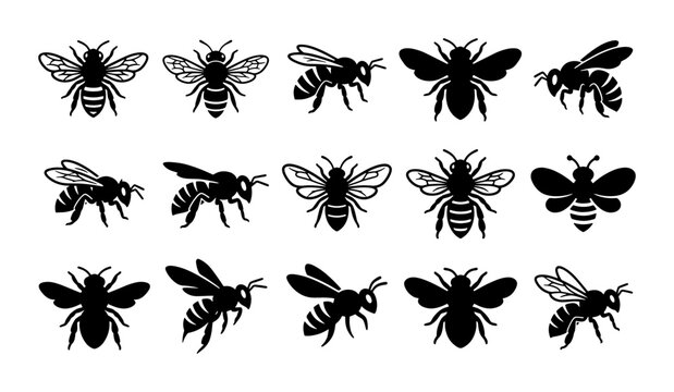 Honey bee silhouette icons set, 15 bumblebee vector elements, black insect graphic collection for honey packaging and nature branding