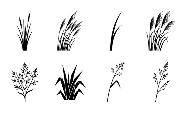 Black grass silhouettes set, 8 botanical reed and cattail vector icons, wild meadow plant elements for landscape design and nature illustrations