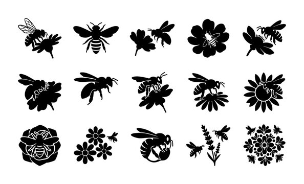 Honey bee silhouette icons, 15 black bumblebee and flower vector elements, garden insects and floral blossom collection for nature branding