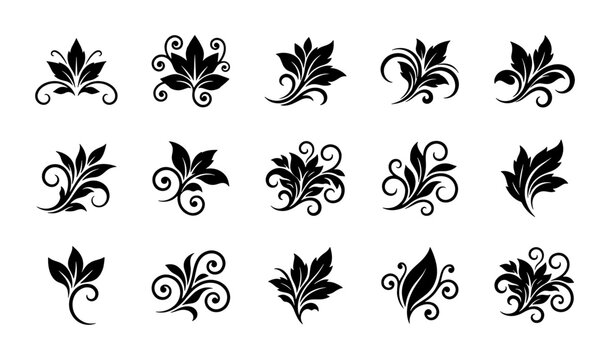 Vintage floral ornaments set, 15 black decorative leaf scrolls and swirls, elegant damask vector elements for wedding invitations and luxury branding