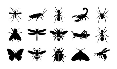 Black insect silhouettes collection, 15 bug icons set including spider and bee, minimalist pest and wildlife vector graphics for educational design © Raju