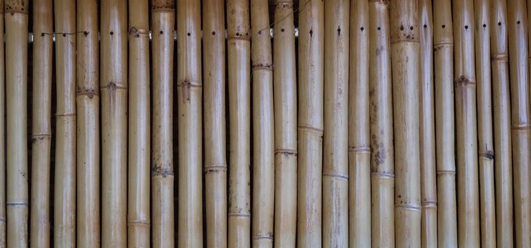 Natural bamboo wall made from aligned stalks creating warm organic texture