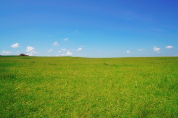 Obraz premium The Hulunbeir Prairie @ Inner Mongolia Autonomous Region, China