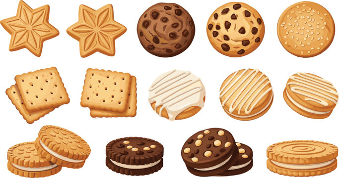 Assorted Biscuit and Cookie Vector Set Featuring Chocolate Chip, Cream Filled, Wafer, and Butter Cookies Isolated on White Background for Bakery and Snack Designs