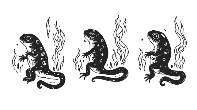 Monochrome illustration of three salamanders with spots and wavy lines, isolated on a white backdrop