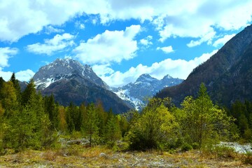 Fototapeta premium View of Prisojnik and Razor mountains in Julian alps from Zadnja Trenta alpine valley in Slovenia