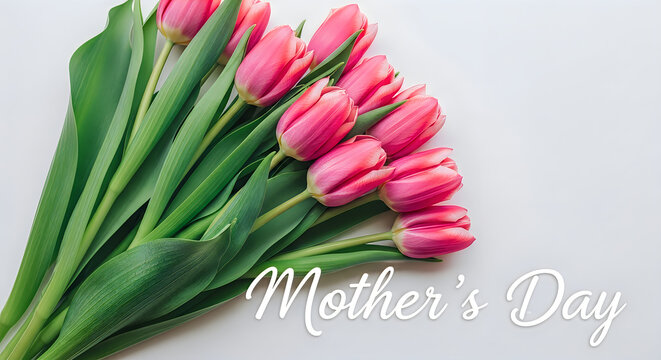 Pink Tulips Bouquet for Mother's Day Gift on White Background