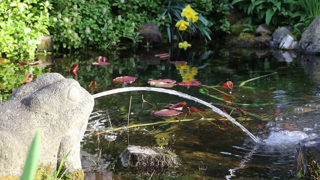 Wasser speiender Frosch aus Stein am Gartenteich, Nordrhein-Westfalen, Deutschland