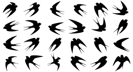 Fototapeta premium Set of Flying Swallow Silhouettes Vector Illustration, Diverse Bird Poses in Black Shape for Graphic Design Projects and Nature Inspired Creative Artworks
