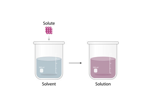 Solutions. Solubility homogeneous mixture. Solute, solvent and solution. Dissolving solids. Chemistry. Educational diagram. Beakers, isolated on white background. Vector illustration.
