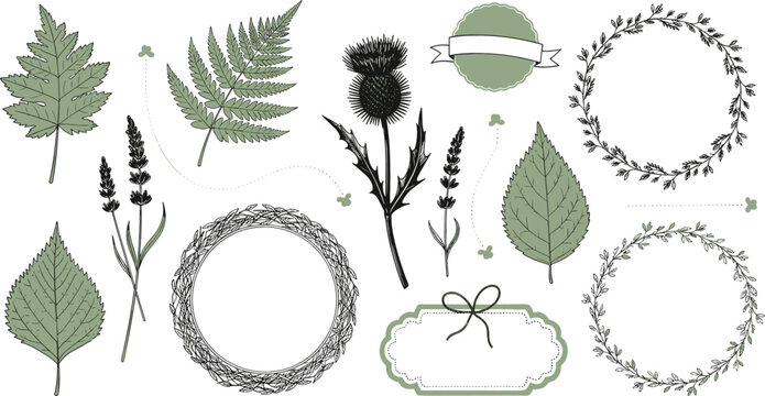 Botanical and Floral Frames Collection with Leaves, Ferns, and Flowers for Nature, Garden, and Eco-Themed Digital Media