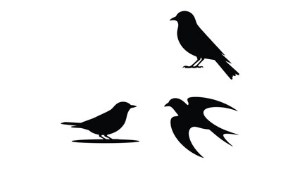 Obraz premium Avian Silhouettes: Featuring four elegant black bird silhouettes, evoking a sense of grace and simplicity. A versatile graphic resource for various creative projects. 