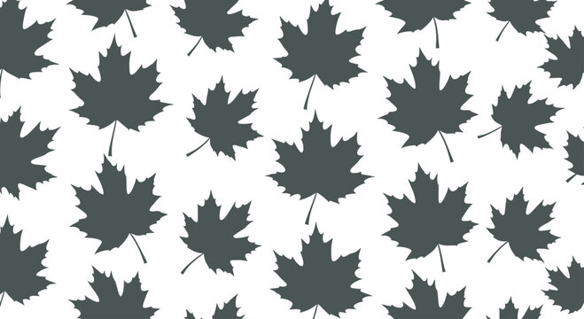 A seamless pattern of dark gray maple leaves scattered on a white background