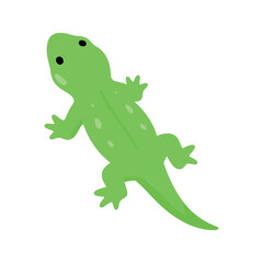 Fototapeta premium Cartoon illustration of a bright green lizard with small legs and black eyes on a white background