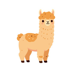 Fototapeta premium Cartoon alpaca standing in a neutral pose on a white background