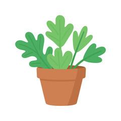 Fototapeta premium Cheerful potted plant with vibrant green leaves for simple botanical designs