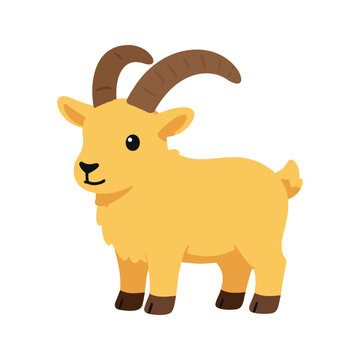 Cute golden goat with brown horns standing isolated on a white background