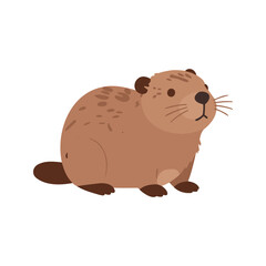 Fototapeta premium Cute cartoon beaver sitting and looking ahead with a curious expression on its face