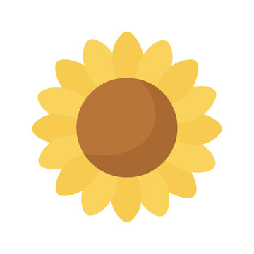 Bright yellow sunflower with brown center conveys happiness and cheerfulness
