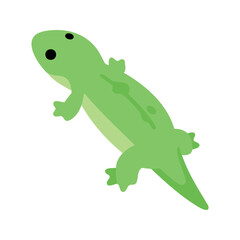 Fototapeta premium A cute light green lizard with black spots is shown on a white background
