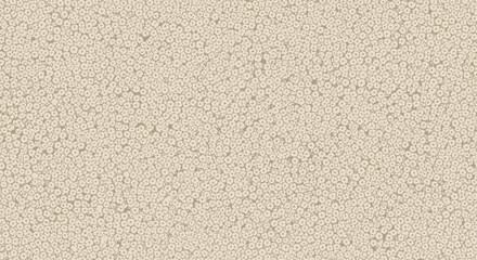 Fototapeta premium A dense, textured pattern of small, light circles on a muted background