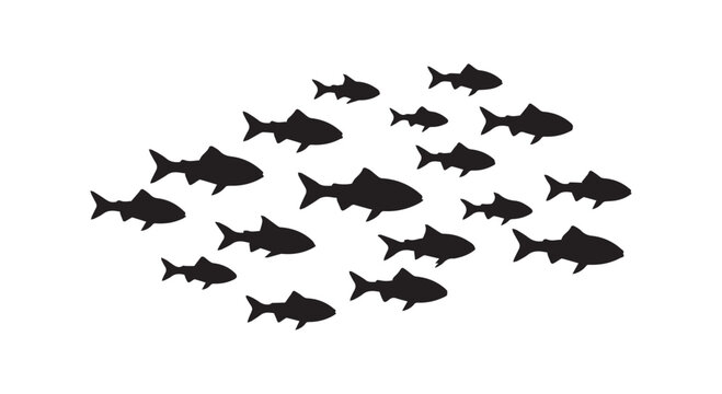 School of fish silhouette swimming together in group formation isolated on white background for marine wildlife art design.