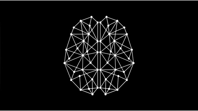 Brain vector from top