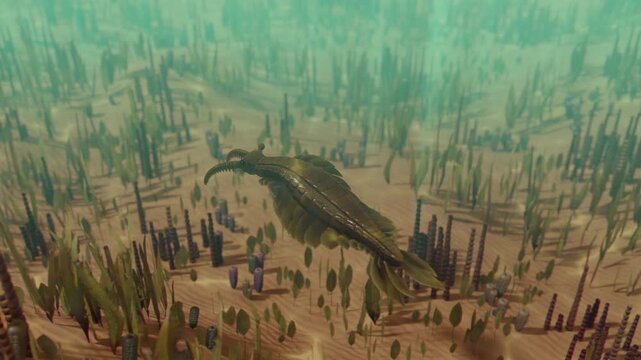 4k 3d animation of  the Cambrian predator, Anomalocaris regalis, swimming gracefully through the deep blue, particle-filled waters of a prehistoric ocean.