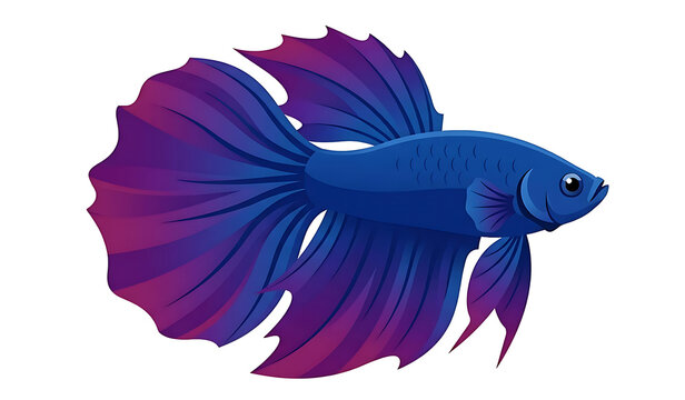 Majestic blue and purple betta fish