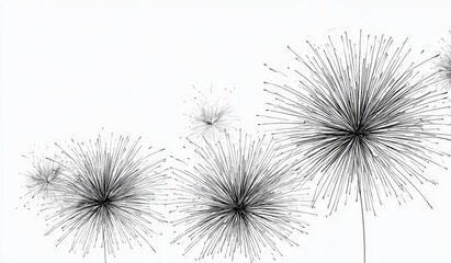 Obraz premium Black and white illustration of delicate dandelion seed heads against a plain white background