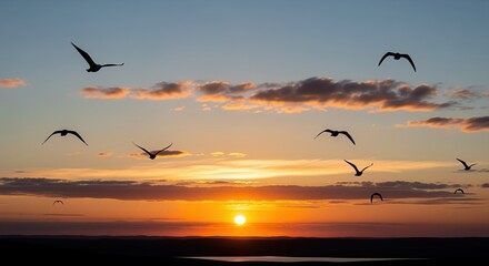 Fototapeta premium Birds fly across a stunning sunset sky with golden and orange hues. The sun sits low on the horizon, casting warm light over silhouetted birds. Dark clouds frame the scene beautifully.