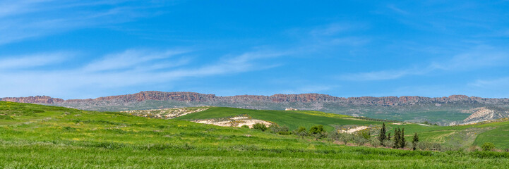 Fototapeta premium Paysage montagneux au printemps