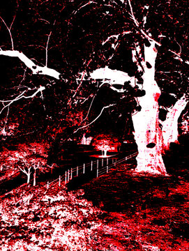 Glitch Art Forest Landscape with Red and Black High Contrast Effect
