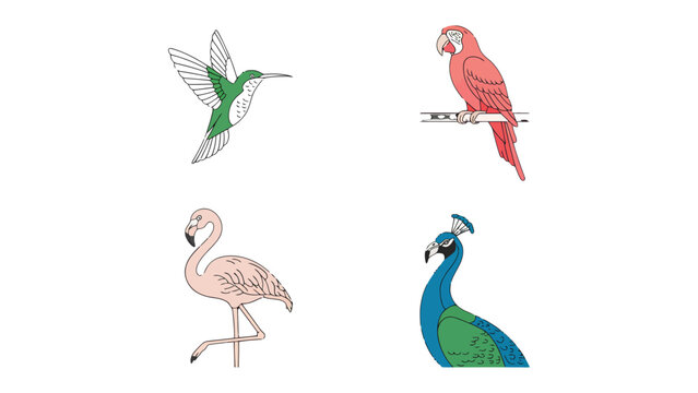 Avian Spectacle: A vibrant assemblage of avian wonders takes flight, featuring a resplendent peacock, a vibrant parrot, a poised flamingo, and a nimble hummingbird in elegant pose.
