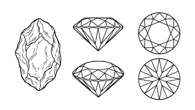 Diamond variations showing raw and cut gemstone shapes illustrated in clean line illustration style for jewelry design visuals material study and luxury asset reference