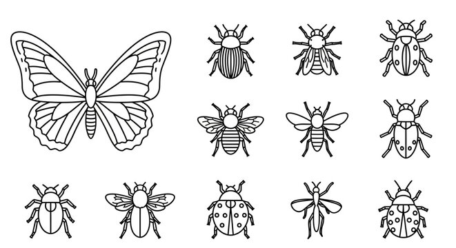 Detailed line art vector icons set of various insects and bugs including butterfly, beetle, and bee, isolated on white.