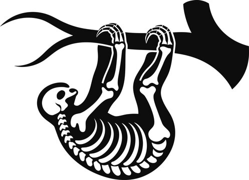 Sloth skeleton hanging from a branch vector illustration