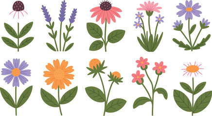 Obraz premium Collection of colorful cartoon flowers and leaves on white background