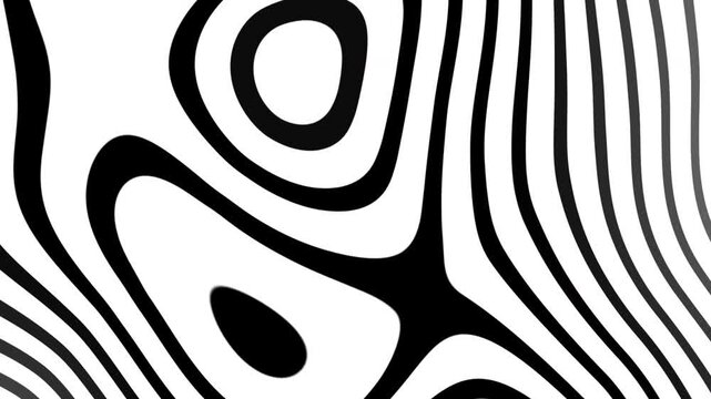 Zebra animation black and white abstract image of wavy lines forming a creative pattern.