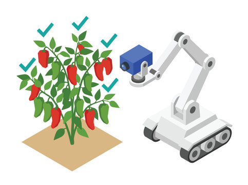 Isometric illustration of a smart agriculture robot arm inspecting ripe red peppers on a plant with checkmarks, showcasing automated farming technology