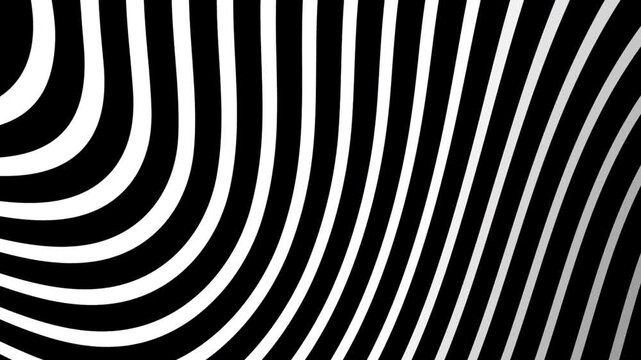 Zebra animation creates a striking black and white optical illusion pattern.