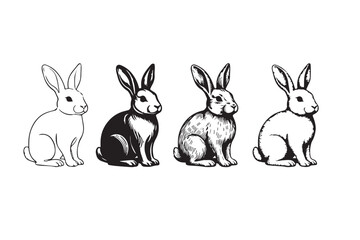 Fototapeta premium vector illustration of rabbits