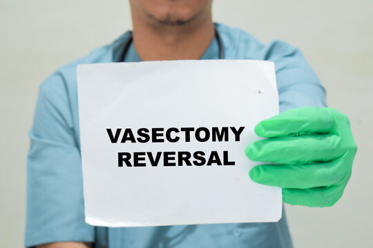 Doctor holds in hands a book with the name of the vasectomy reversal. Medical concept