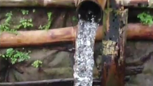 Cinematic Slow Motion Water Flow from Bamboo Pipe in Natural Environment